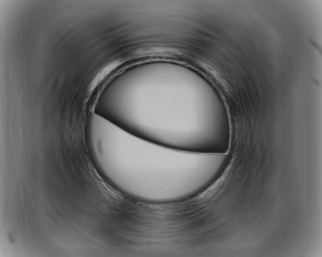 X0000096731066200802051123