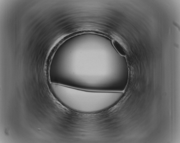 X0000096731068200802051123