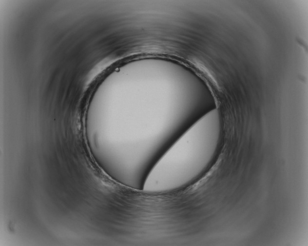 X0000096731070200802051123