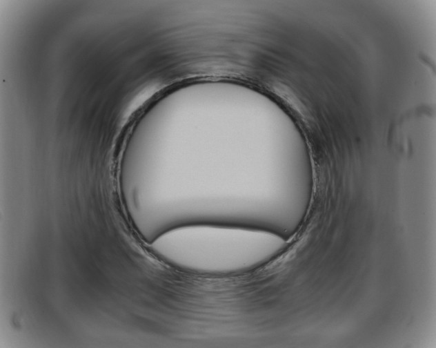 X0000096731071200802051123