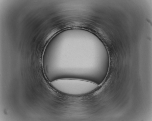 X0000096731073200802051123