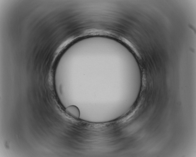 X0000096731074200802051123