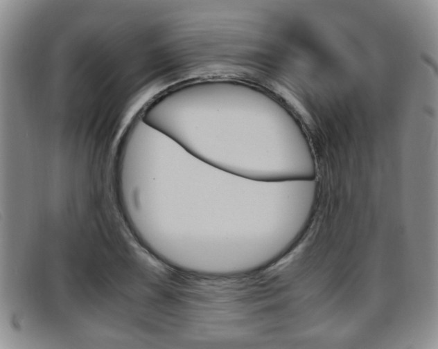 X0000096731075200802051123