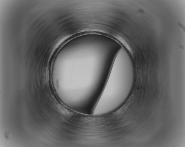 X0000096731076200802051123