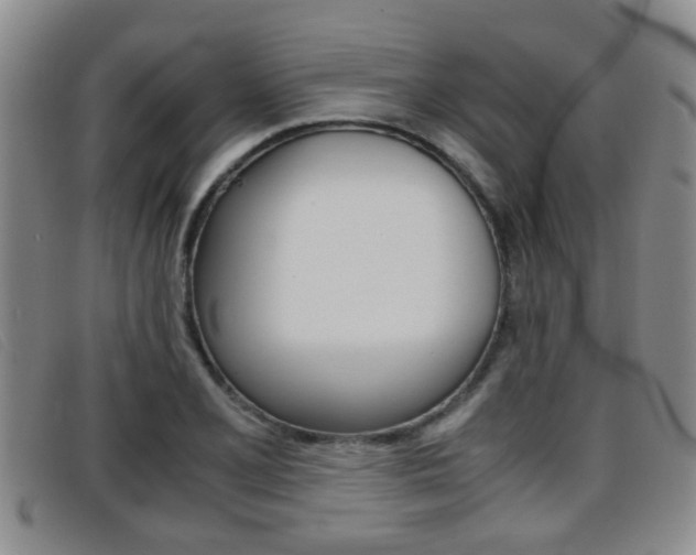 X0000096731077200802051123