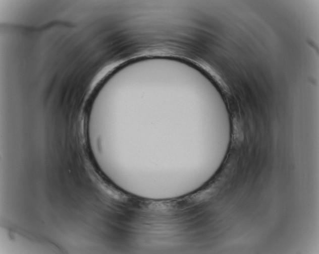 X0000096731078200802051123