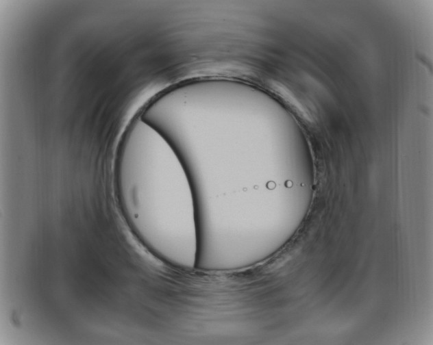 X0000096731079200802051123