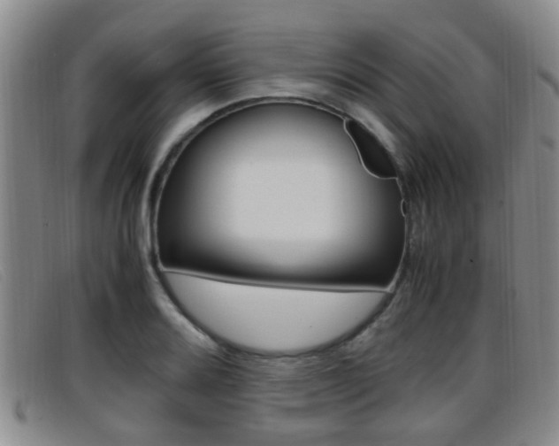 X0000096731080200802051123