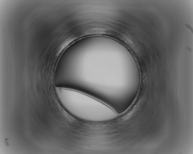 X0000096731081200802051123