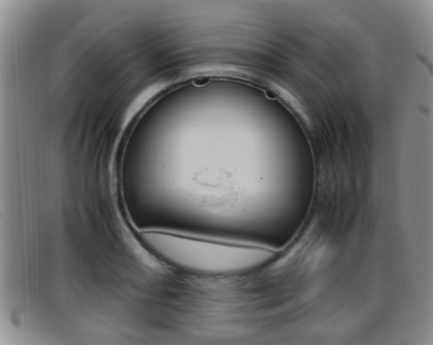 X0000096731082200802051123