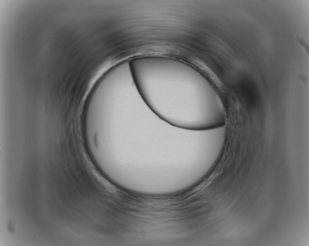 X0000096731083200802051123