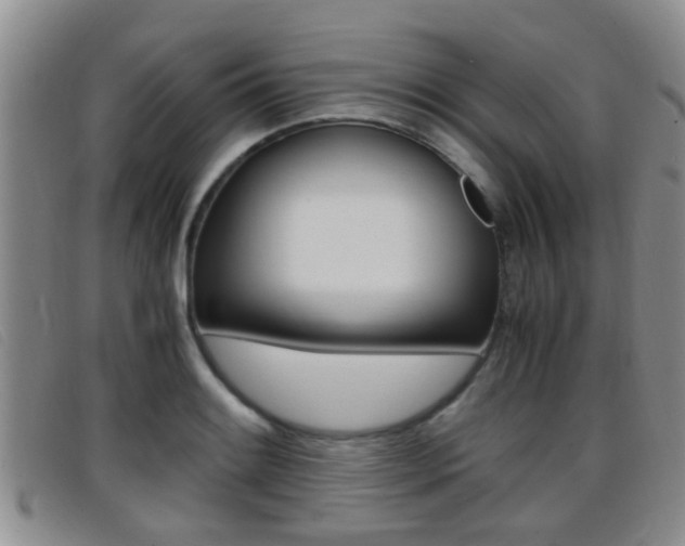 X0000096731084200802051123