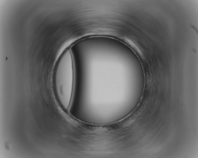 X0000096731085200802051123
