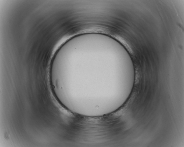 X0000096731086200802051123