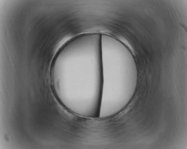 X0000096731087200802051123