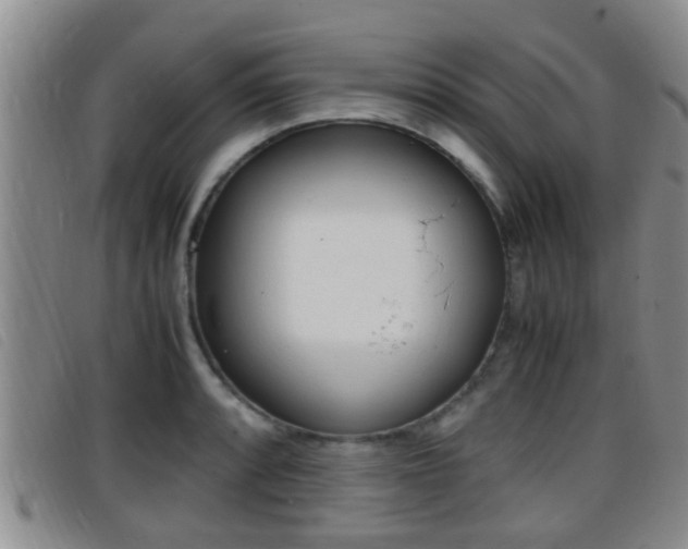 X0000096731088200802051123