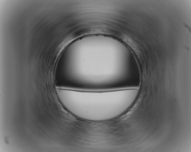 X0000096731089200802051123