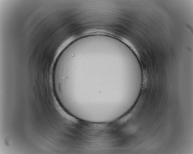 X0000096731090200802051123
