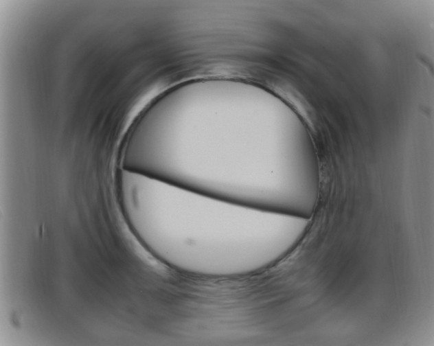 X0000096731091200802051123
