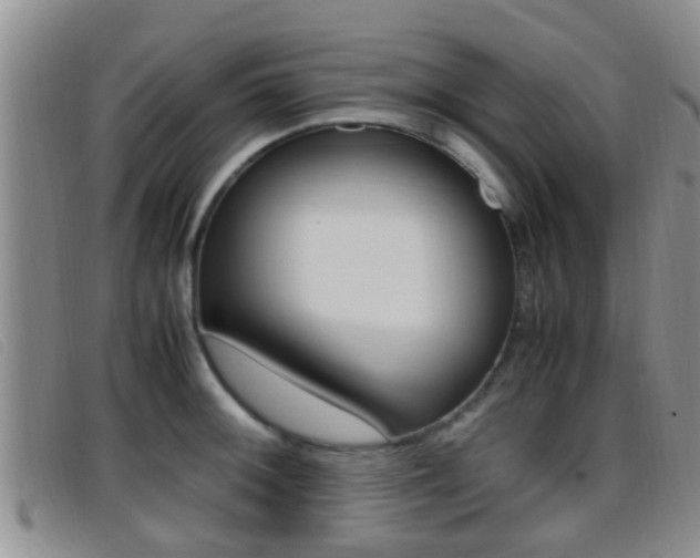 X0000096731092200802051123