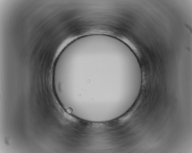 X0000096731094200802051123