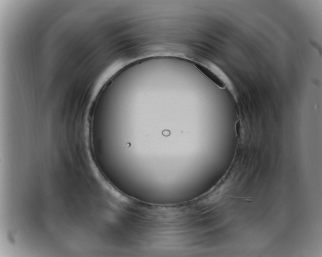 X0000096731096200802051123