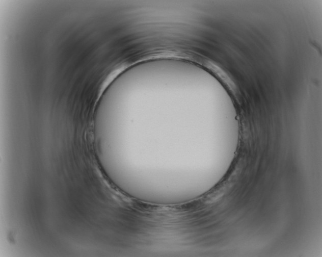 X0000096731097200802051123