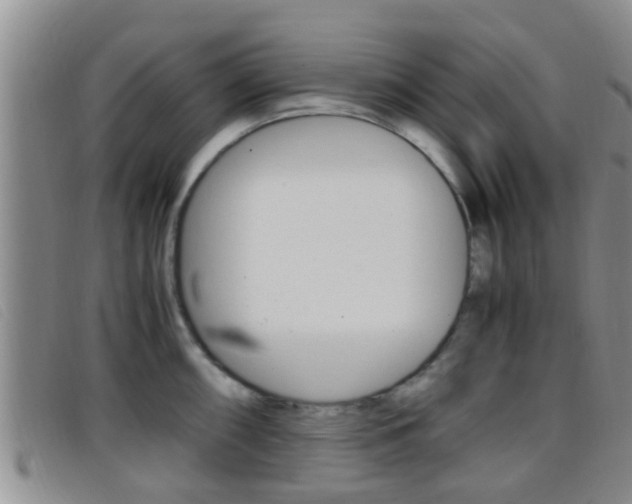 X0000096731098200802051123