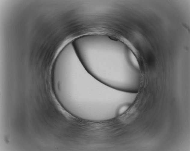 X0000096731099200802051123