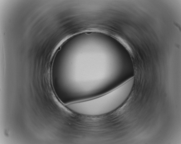 X0000096731100200802051123