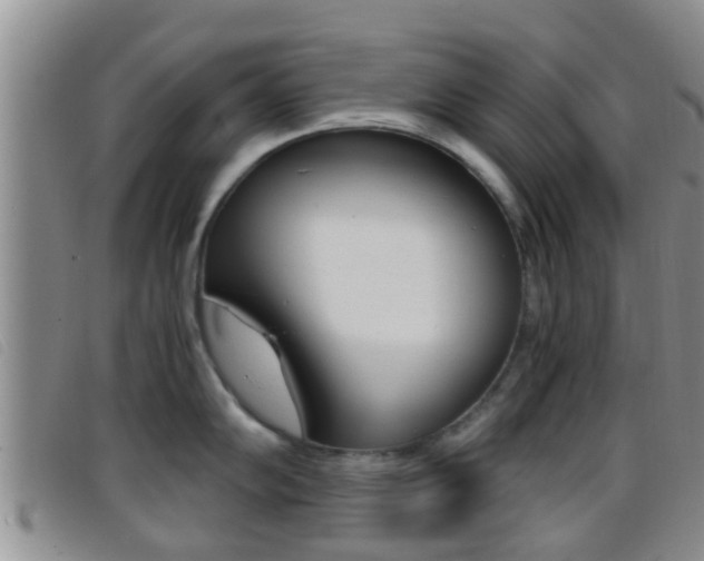 X0000096731102200802051123