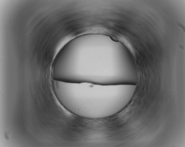 X0000096731103200802051123