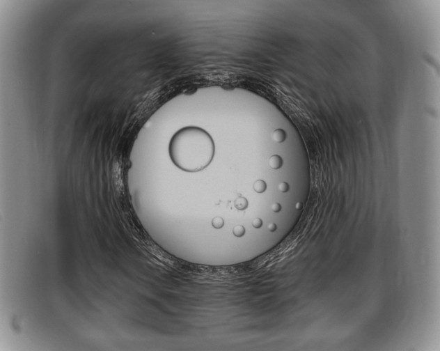 X0000096731106200802051122