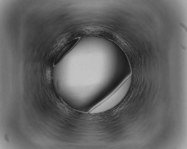 X0000096731108200802051122