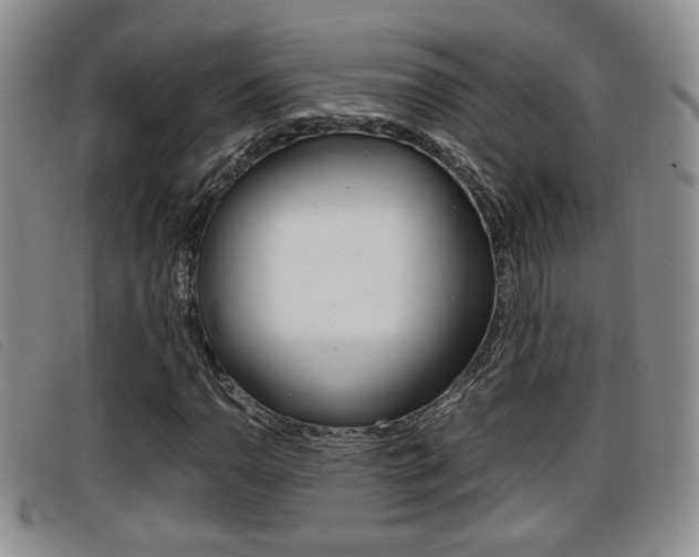X0000096731110200802051122