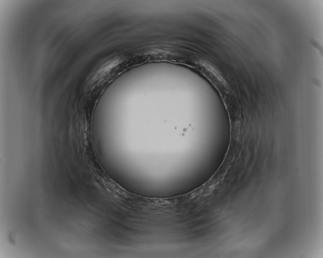 X0000096731111200802051122