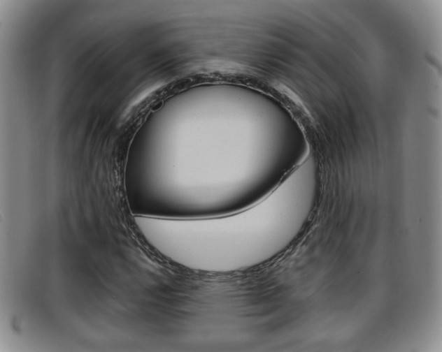 X0000096731112200802051122