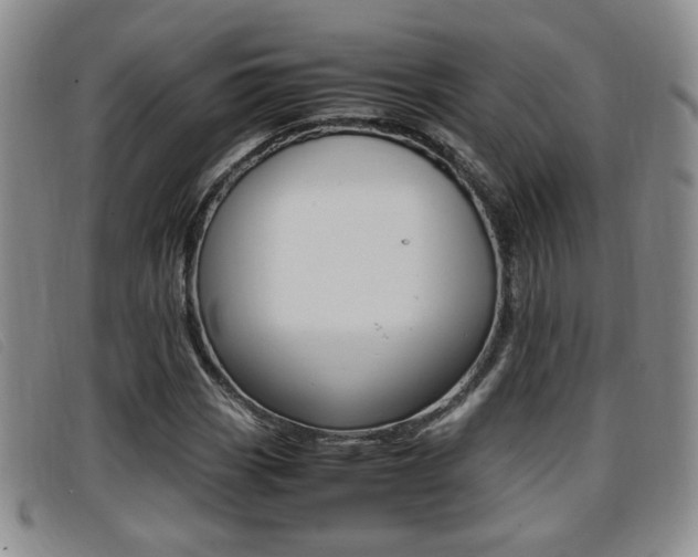 X0000096731113200802051122