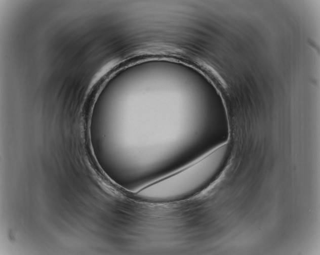 X0000096731114200802051122