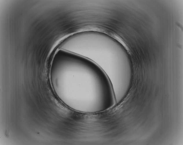 X0000096731116200802051122