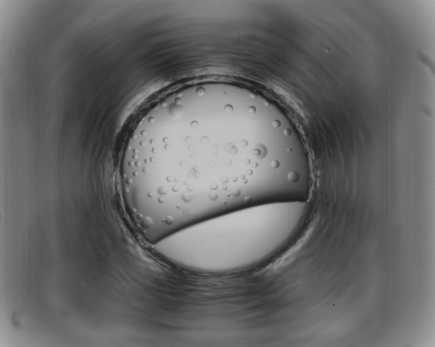 X0000096731117200802051122