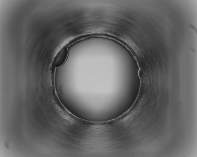 X0000096731118200802051122