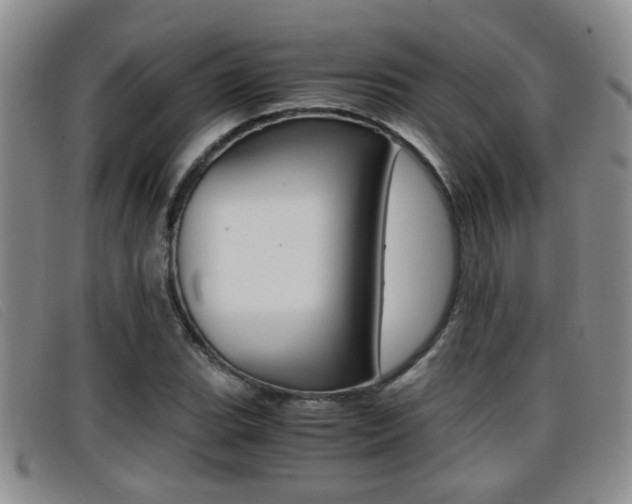 X0000096731119200802051122