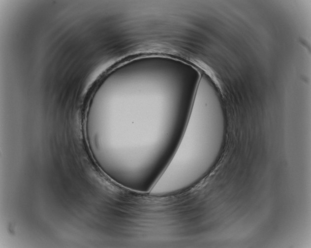 X0000096731120200802051122