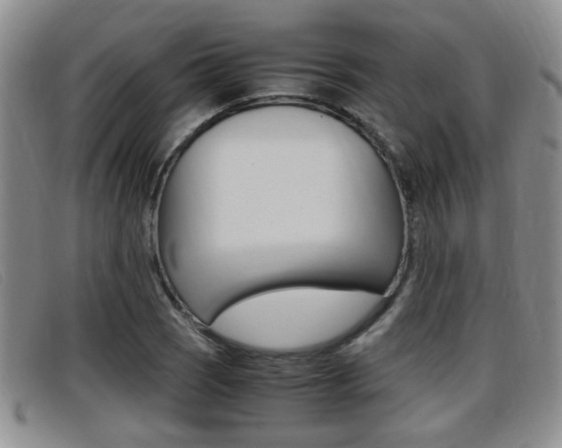 X0000096731121200802051122