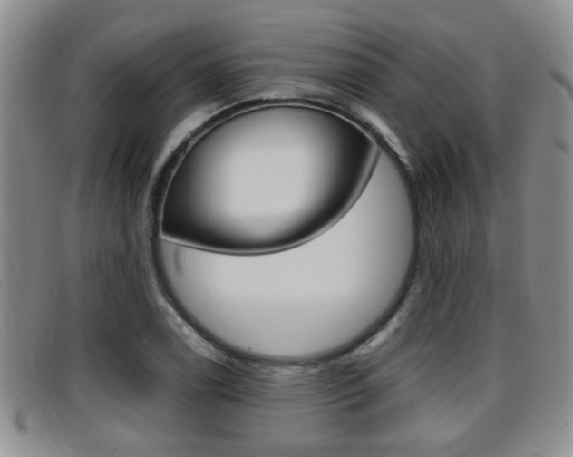 X0000096731122200802051122