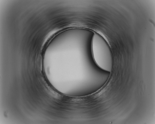 X0000096731123200802051122