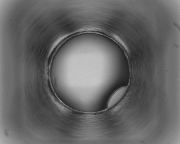 X0000096731124200802051122