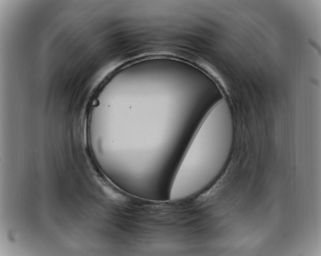 X0000096731127200802051122