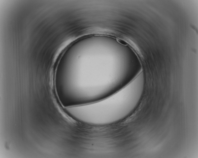 X0000096731128200802051122